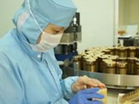 Cách lựa chọn hoạt chất Fucoidan chất lượng cho sức khỏe gia đình