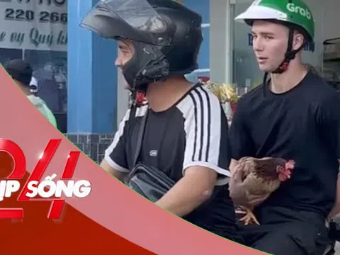 NHỊP SỐNG 24: Kỳ lạ khách nước ngoài ôm gà đi khắp nơi
