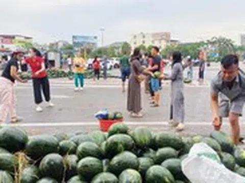 Người dân 'giải cứu' hàng tấn dưa hấu giúp bác tài sau tai nạn