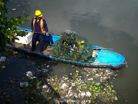 Dọn cá chết nổi trắng trên kênh Nhiêu Lộc