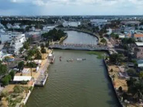Long An rà soát cung cấp thông tin dự án liên quan vụ án Công ty cây xanh Công Minh