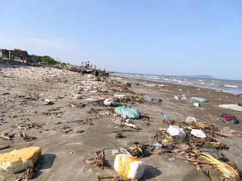 Bèo tây, rác thải bủa vây bờ biển Nghệ An