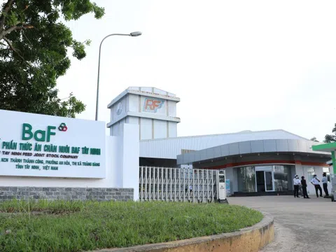 Ngỡ ngàng doanh thu của Vinamilk, BAF