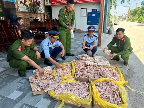 Phát hiện gần nửa tấn chân gà, đuôi lợn không rõ nguồn gốc ở cơ sở thực phẩm sạch
