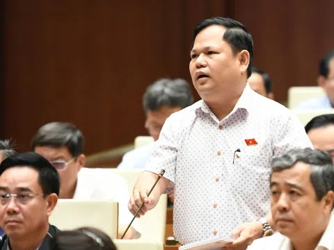 Ngành điện rất thua lỗ, sao vẫn cứ độc quyền?
