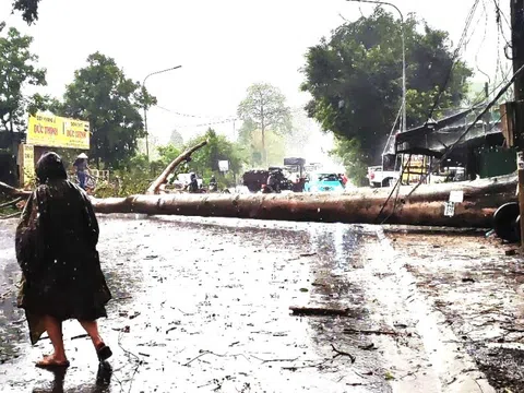 Mưa lớn kèm đá quật ngã cây đè trúng xe cứu thương