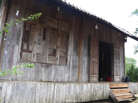 Ngôi nhà gỗ biết xoay tránh nắng, mưa của lão nông Đắk Lắk