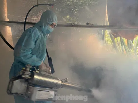 Lạng Sơn ngăn chặn nhiều ổ dịch tả lợn châu Phi