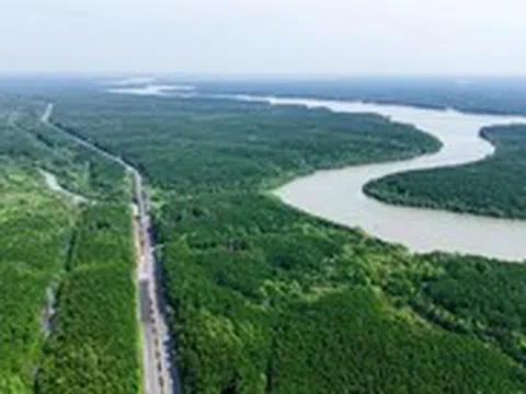 Vingroup gửi văn bản cho UBND TP.HCM: Đường sắt đi Cần Giờ sẽ làm bằng nguồn vốn tư nhân