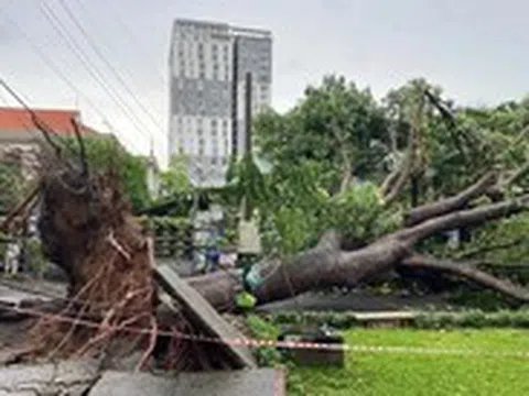 Liên tiếp 2 vụ điện giật vào mùa mưa làm 1 người chết tại TP.HCM