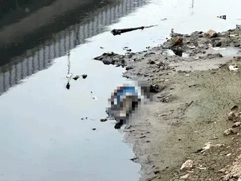 Phát hiện thi thể người đàn ông trên sông Tô Lịch