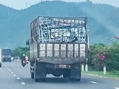 Vụ bán tài sản cưỡng chế ở Nha Trang: Làm rõ trách nhiệm cá nhân sai phạm