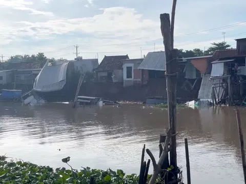 Sạt lở lớn ở An Giang, 6 căn nhà trôi xuống sông