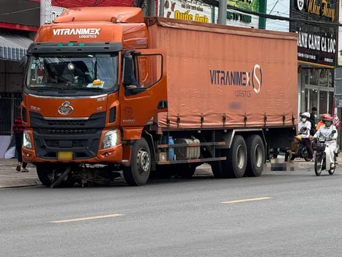 Tạm giữ tài xế vụ xe tải trôi cán chết người chờ đèn đỏ