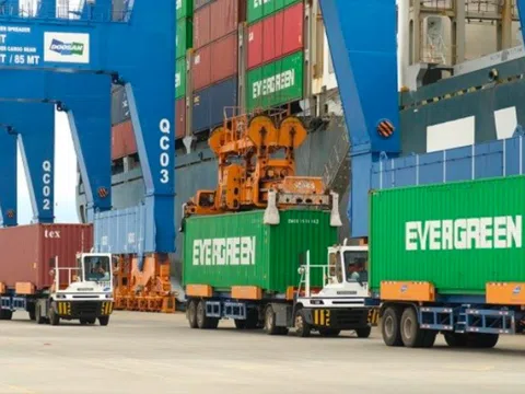 Nhóm cựu lãnh đạo chi cục hải quan nhận hối lộ để giúp thông quan hàng hóa trị giá hơn 1.800 tỷ