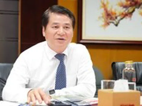 Nhiều doanh nghiệp Nhật háo hức nhập vải thiều Việt Nam