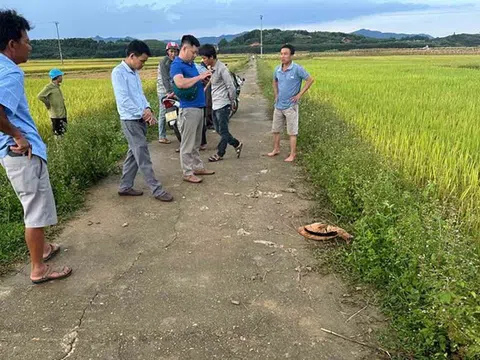 Cụ bà bị sét đánh tử vong ngoài đồng