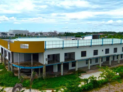 Thu hồi 2ha 'đất vàng' bỏ hoang nhiều năm ở Cà Mau