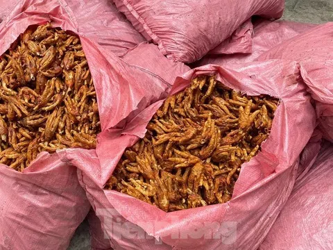 Lạng Sơn: Thu giữ trên 1,5 tấn chân gà nghi nhập lậu