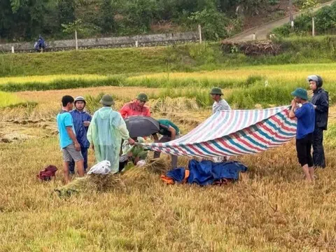 Cầm điện thoại khi đang gặt lúa, người đàn ông bị sét đánh tử vong