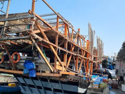 Chủ tàu cá ở Quảng Nam bị phạt 400 triệu đồng vì mất tín hiệu giám sát hành trình