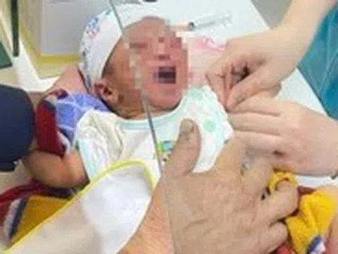 Tìm cha mẹ của bé gái sơ sinh bị bỏ rơi ở cánh đồng