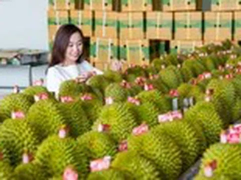 Thủ tướng chỉ đạo loạt nhiệm vụ siết quản lý để thúc đẩy xuất khẩu sầu riêng