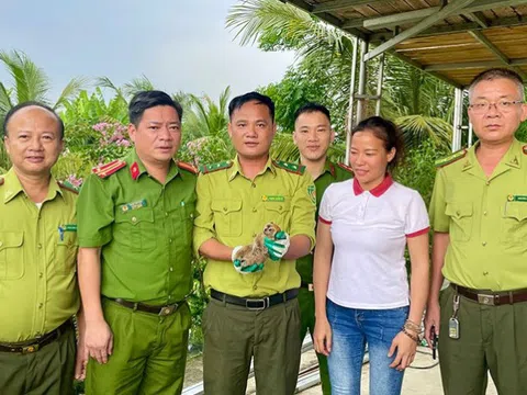 Động vật quý hiếm bất ngờ xuất hiện trong vườn nhà dân