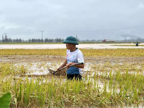 Lũ đến bất ngờ vào mùa hè: 'Chúng tôi mất trắng… rồi'
