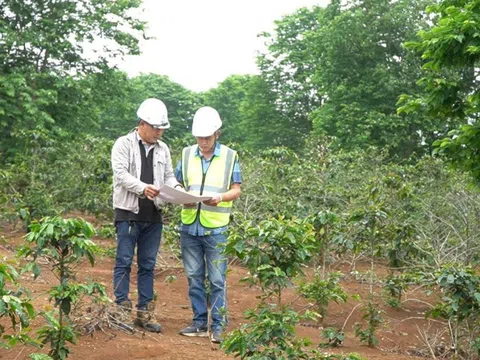 Dự án điện gió hơn 2.000 tỷ đồng ở Quảng Trị vướng giải phóng mặt bằng, huyện sẽ cưỡng chế thu hồi đất