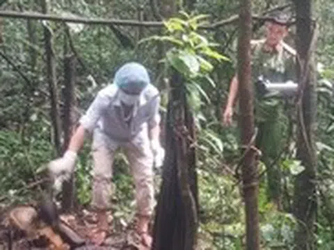 Phát hiện bộ xương trong rừng sâu, nghi của người bị truy nã