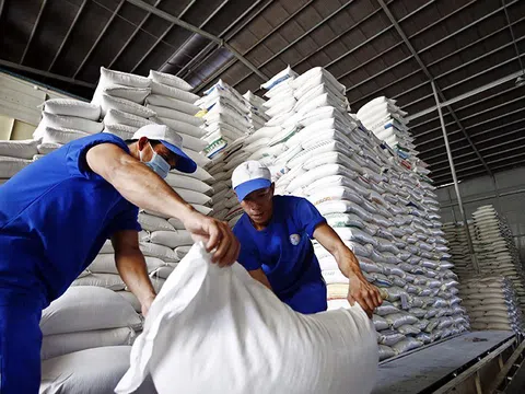 Đề xuất quy định kinh doanh xuất khẩu gạo như 'đánh đố'