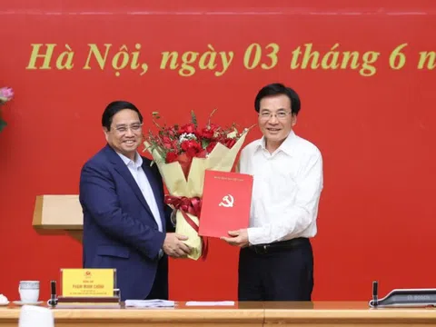 Bộ Chính trị chỉ định Phó Bí thư Đảng ủy Chính phủ