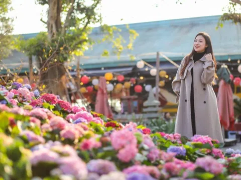 Những trải nghiệm không nên bỏ lỡ khi khám phá Sun World Ha Long