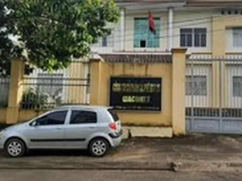 Thanh tra toàn diện Công ty một thành viên Cà phê Gia Lai