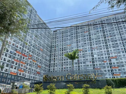 TPHCM tiếp tục gỡ vướng sổ hồng nhiều dự án