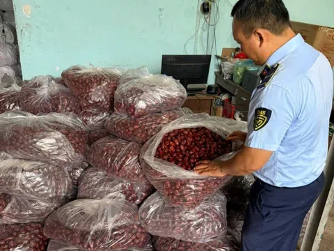 TPHCM: Phát hiện hàng tấn thực phẩm '3 không' chờ tiêu thụ