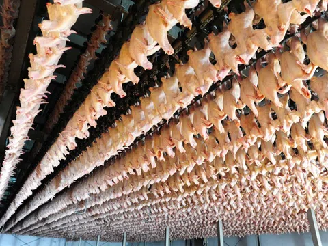 Tiếp tục kiểm tra nhà máy giết mổ của Công ty C.P Việt Nam tại Hà Nội