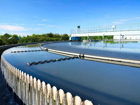 Chuyển đổi xanh: 'Nếu không đạt chuẩn, doanh nghiệp sẽ bị loại khỏi sân chơi'