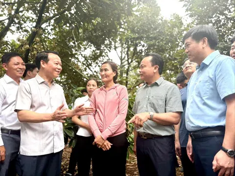 Đại phẫu 'vua' trái cây tỷ USD: Chờ sự hóa giải của tư lệnh ngành Nông nghiệp