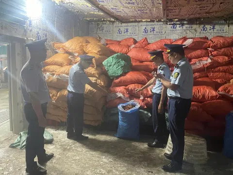 Quảng Ninh mạnh tay xử lý thực phẩm bẩn