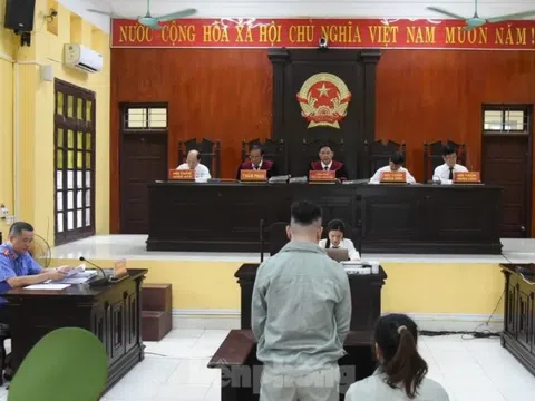 Vận chuyển 270 kg ma túy, 2 bị cáo lĩnh án tù chung thân
