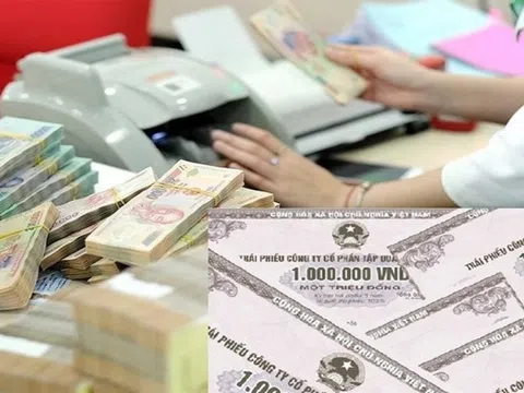 Trái chủ điêu đứng, doanh nghiệp mặc kệ