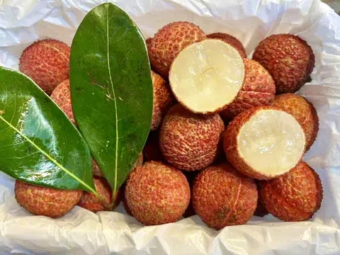 Vải thiều Trung Quốc 'đổ bộ' chợ Việt, giá cao không tưởng