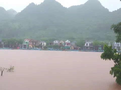Mưa lũ tại miền Trung diễn biến phức tạp: Cá nuôi chết hàng loạt, lúa và hoa màu bị ngập