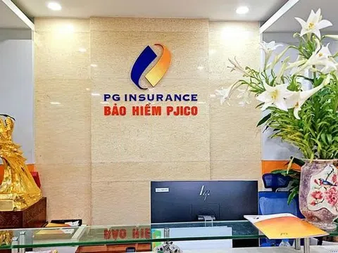 Bảo hiểm PJICO có tổng giám đốc mới