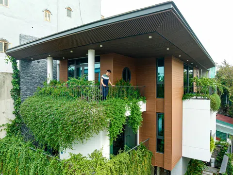 Cách đưa những 'khu vườn' len lỏi khắp nhà phố 3 tầng