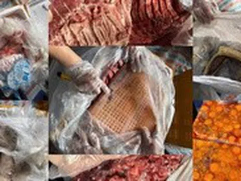 Bắt xe đông lạnh chở hơn 20 tấn nội tạng động vật bị nấm mốc, bốc mùi hôi