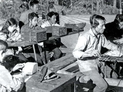 Làm báo trong rừng