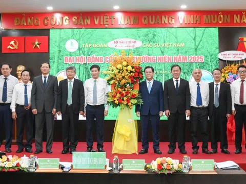 Tập đoàn Công nghiệp Cao su Việt Nam chia cổ tức 1.600 tỷ đồng
